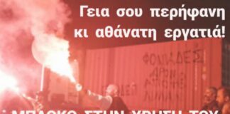 Δύναμη των Λιμενεργατών και η Αλληλεγγύη στον Παλαιστινιακό Αγώνα!