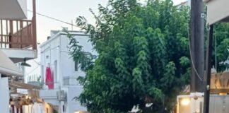 Κάλεσμα 10 Αυγούστου: Γεμίζουμε την χώρα με μηνύματα αλληλεγγύης