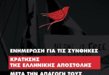 Ενημέρωση για τις συνθήκες κράτησης της ελληνικής αποστολής