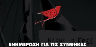 Ενημέρωση για τις συνθήκες κράτησης της ελληνικής αποστολής