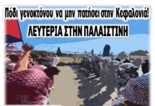 BDS Greece: Στηρίζουμε το Κάλεσμα της Πρωτοβουλίας Κατοίκων Κεφαλονιάς για την Αλληλεγγύη στον Παλαιστινιακό Λαό