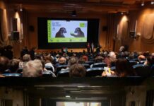 Κέρδισε το βραβείο Καλύτερου Ελληνικού Ντοκιμαντέρ Μεγάλου Μήκους το “Αντίσταση στον μεγάλο εποικισμό”